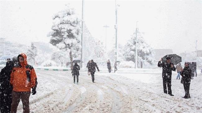 موج سرما کشور را نیمه تعطیل کرد