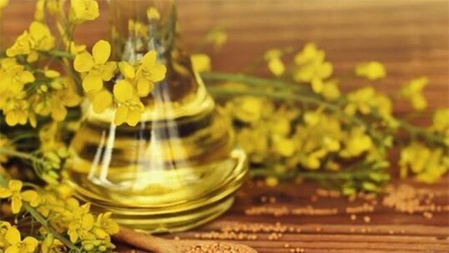 این روغن شما را به آلزایمر دچار می کند